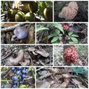 둔일농장 이미지