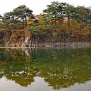 침벽공원 Daum카페