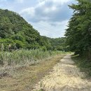 청미천 6 이미지