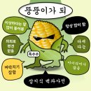 25년 첫 조각 | 소란, 포근한 겨울