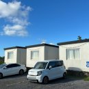 퐁낭에염 이미지