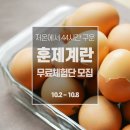 김순도농장 | 저온에서 44시간 구워내 탱글탱글한 훈제계란 무료체험단 모집