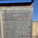 단산마을 | [대구 여행] 공항에서 시작하는 낭만 뚜벅이