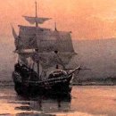 메이플라워 이미지