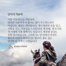 강아지 치료비 이미지