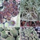 덕봉농장 이미지