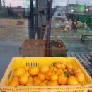 달아민박 이미지