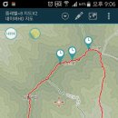 월정기록