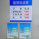 남해-316 | 남해가볼만한곳 추천 : 남해갯벌체험, 금천마을 근처 100% 즐기기 TIP