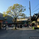 한상태농장 | 가평단풍명소 아침고요수목원 가을 단풍 주말 나들이 후기