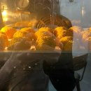 그레잇멍데잇 | 그레잇 멍데잇 원데이 클래스 후기