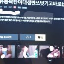 꼬마동네세탁