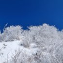 소백산 설경 : 죽령/연화봉/비로봉/어의곡 이미지