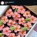 우나스 - 강남구 논현동 | W17. 스튜디오 촬영 소품 구매, 예약 후기(어스윗플레이스 웨딩 접시, 우나스 벚꽃 쿠키)