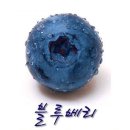 봄내슈퍼 이미지