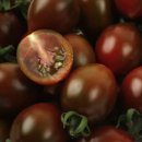 열린미생물농장 이미지