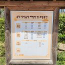 1가은달빛한옥민박(펜션) | 봄내음 풍기는 순천 가볼만한곳 조선시대로 시간여행 낙안읍성 성곽 길 걷기