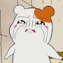 부평복싱짐 이미지
