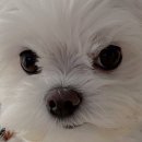 CU 광주삼각일등점 | 다 같이: 우웅~