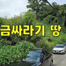 금싸라기 땅 “급매” 마직막 남은 개발 가능한 토지 약200평 당460만원 절충가능[땅지통] 이미지