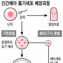 샤마리