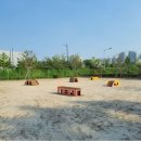 와라쉼터 이미지