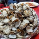 정다운 | [대전 대흥동 맛집] 대전 노포 술집 추천｜정다운포차 내돈내산 후기