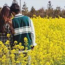 유채네일