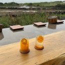 주미목장 | 제주도 6월 나들이 / 부영호텔, 위이 weii, 코난해변, 카페말로, 핀스, 마마롱