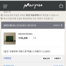 [소의튜브/모델링팩] 마리포사 오로라그린 두달사용 내돈내산 솔직후기