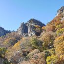 삼선10 이미지