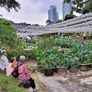 대중가요의 골목길 07 / 서울 | 주현미의 이태원, 강남 그리고 영동대교 이미지