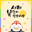 트라이스톤주짓수 네이버블로그