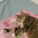 진선미광고 | 늦어버린 2025년 하반기 결산