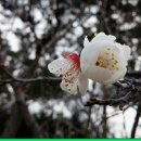 (주)태화전력 이미지