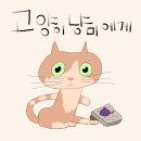 한국동물복지협동조합