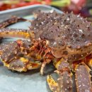 대신수산 이미지