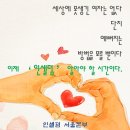 피부미인(인셀덤) 이미지