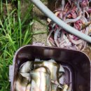 청풍낚시터 이미지