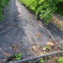 세호농장 이미지