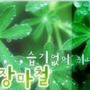 동남빨래나라 이미지