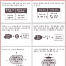 회춘농원