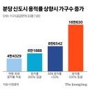 분당-226 이미지