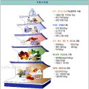 실천 다이어트 미션 9호 - 내게 맞는 섭취량 알기/올바른 식이요법 [ 워밍업 연장 / 응용프로그램 따라하기] 이미지