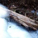 엘림안경원 이미지