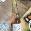 (내돈내산) 제주도 술 추천 순위! 전통주, 막걸리, 약주, 수제맥주까지 제주도 양조장 술 솔직후기