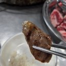 새동네숯불구이 | [ 일산 맛집 ] 일산 소갈비살 맛집 김가네소갈비살구이 — 동네가 인정한 숯불 구이, 솔직 후기!