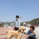 펫(PET)과 함께 이미지