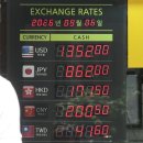 Korean retail investors in US stocks suffer 원화강세에 미국 주식 투자한 국내 개인 투자자들 울상 이미지