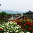 장미공연장 이미지